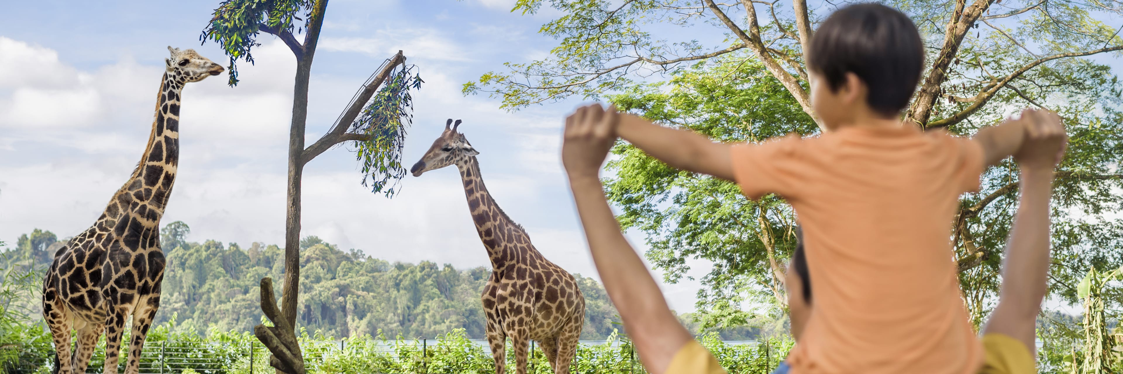 シンガポール動物園 | Go シンガポールパスで節約 | 入場料込み